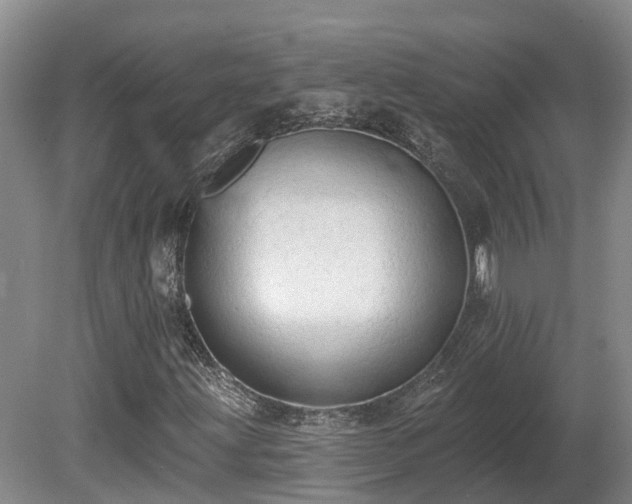 X0000081281203200701181734