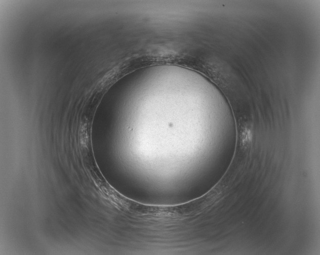 X0000081281204200701181734