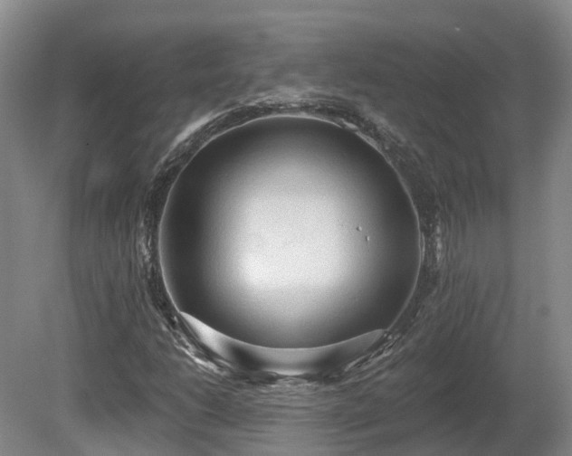 X0000081281206200701181734