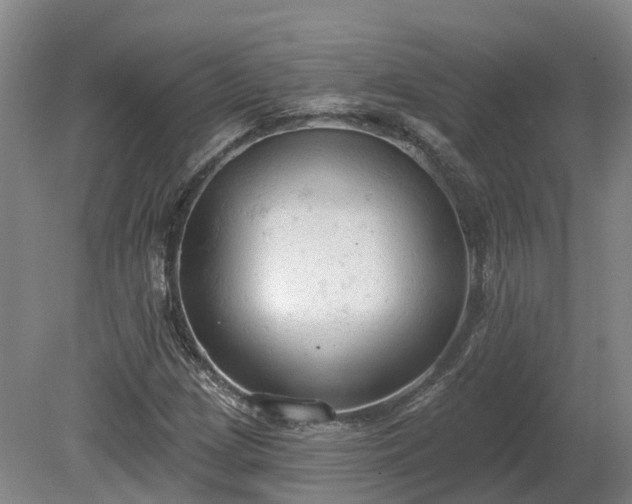 X0000081281209200701181734