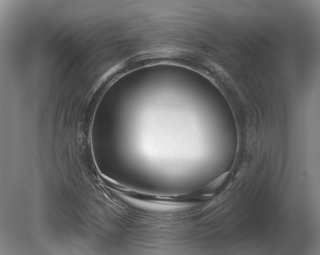 X0000081281210200701181734