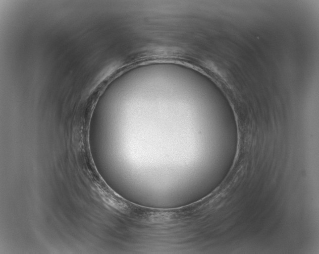X0000081281211200701181734
