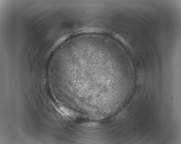 X0000081281213200701181734