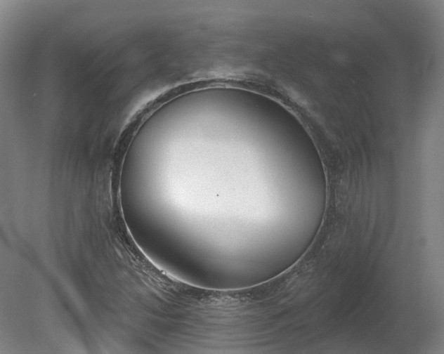 X0000081281214200701181734