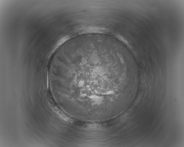 X0000081281219200701181734