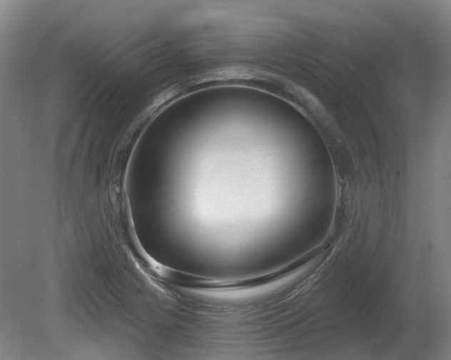 X0000081281225200701181734