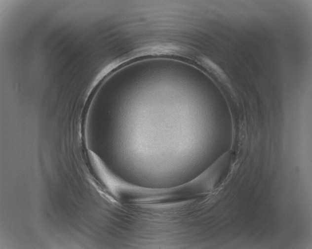 X0000081281226200701181734
