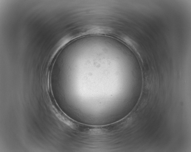X0000081281227200701181734