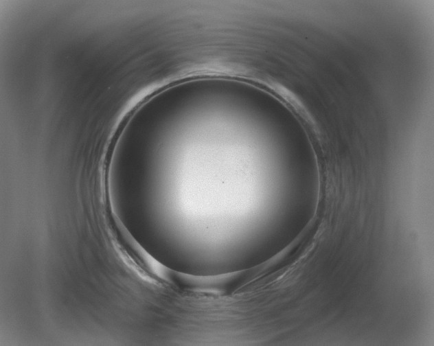 X0000081281238200701181734