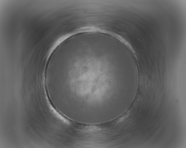 X0000081281239200701181734
