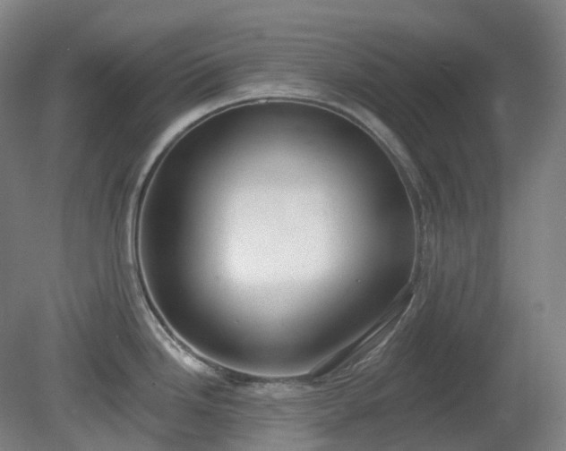 X0000081281246200701181735