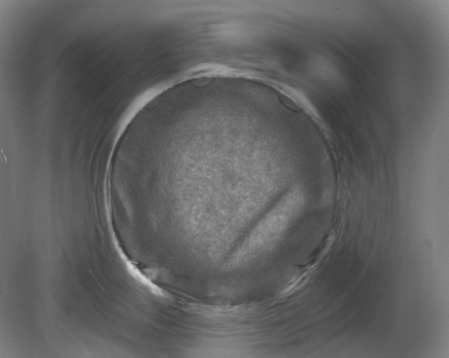 X0000081281247200701181735