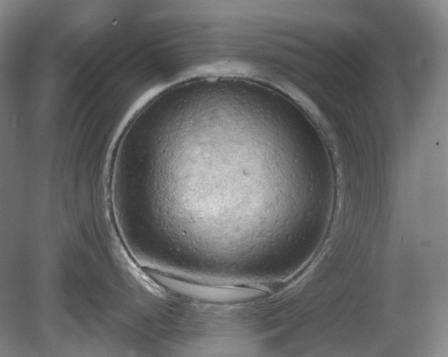 X0000081281248200701181735