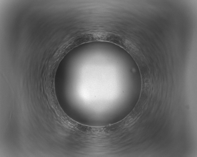X0000081281249200701181734