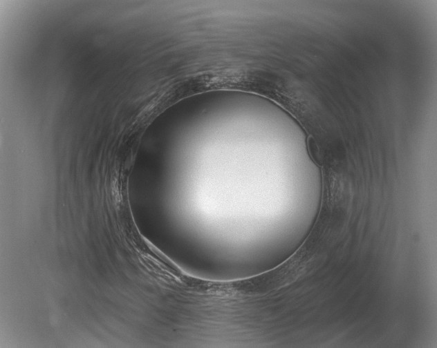 X0000081281250200701181734
