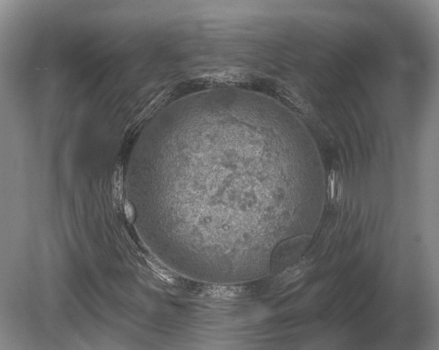 X0000081281251200701181734