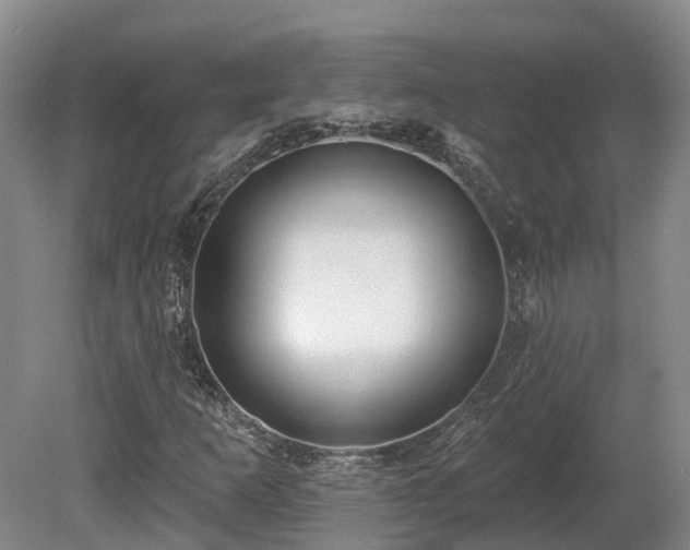 X0000081281253200701181734