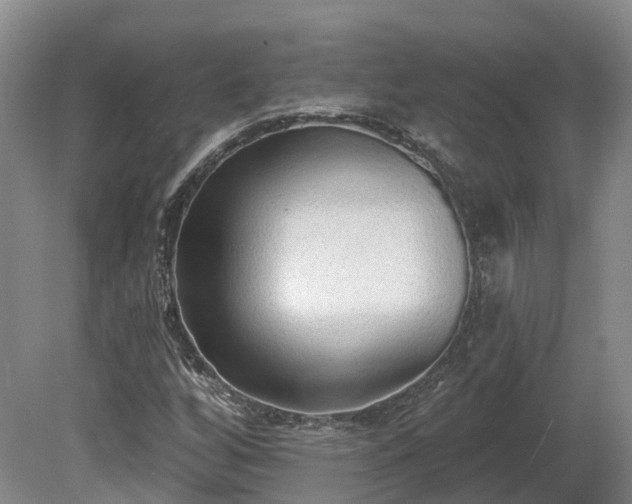 X0000081281256200701181734
