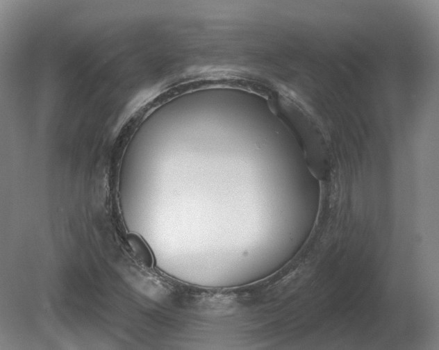 X0000081281261200701181734
