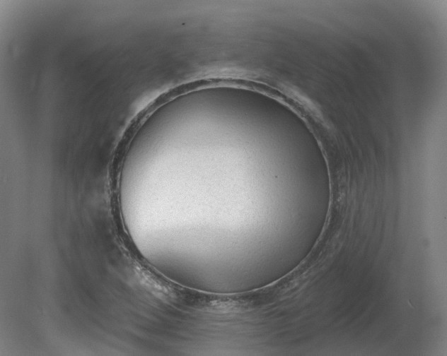 X0000081281264200701181734
