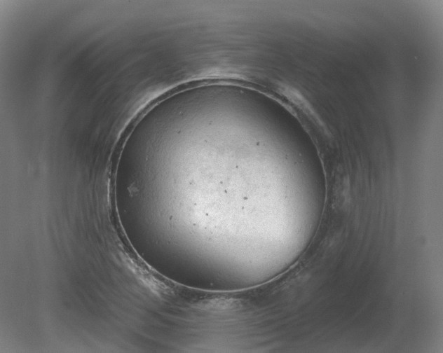 X0000081281268200701181733