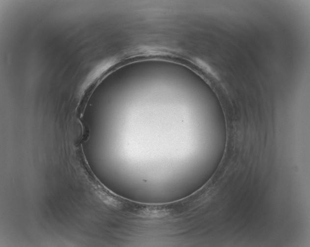 X0000081281269200701181733