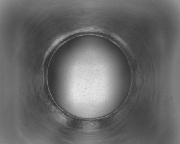 X0000081281270200701181733
