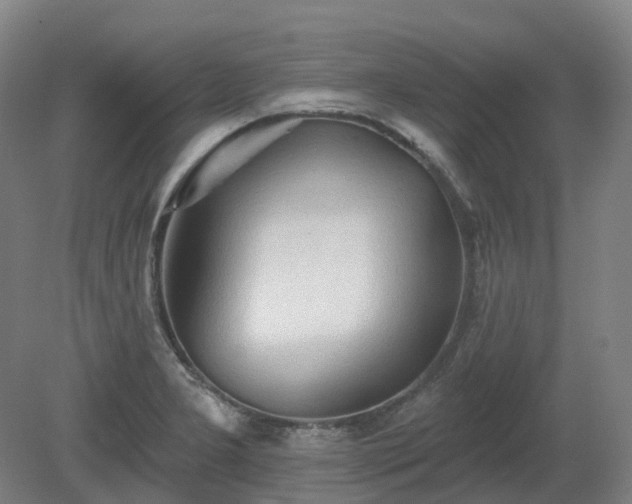 X0000081281277200701181733