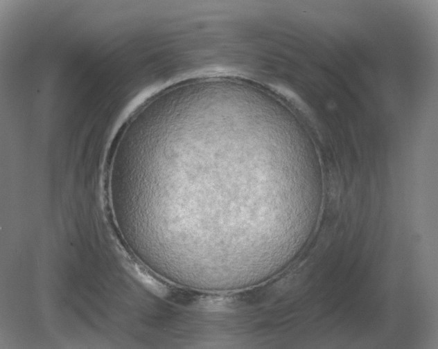 X0000081281278200701181733