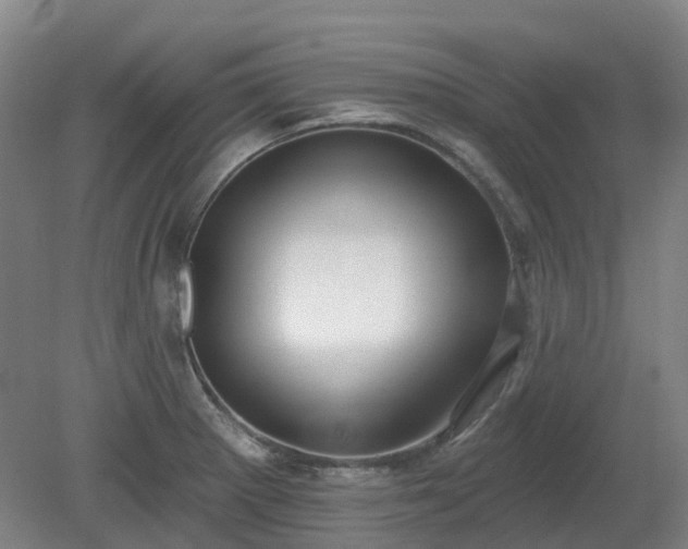 X0000081281281200701181733