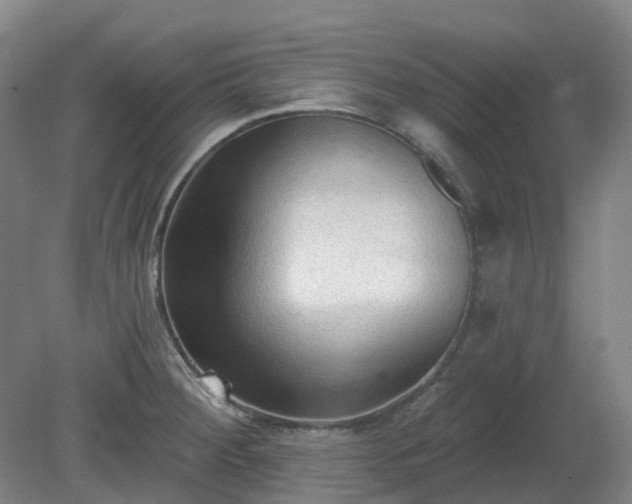 X0000081281284200701181733