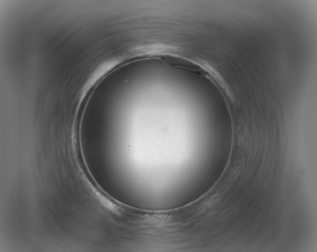 X0000081281285200701181733