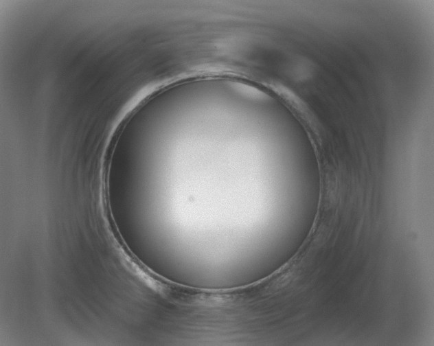X0000081281286200701181733