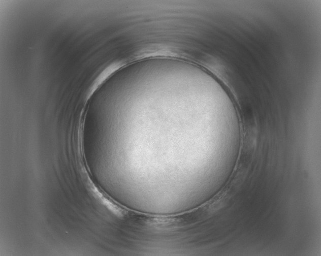 X0000081281290200701181733