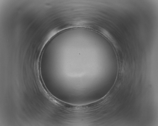 X0000081281291200701181733