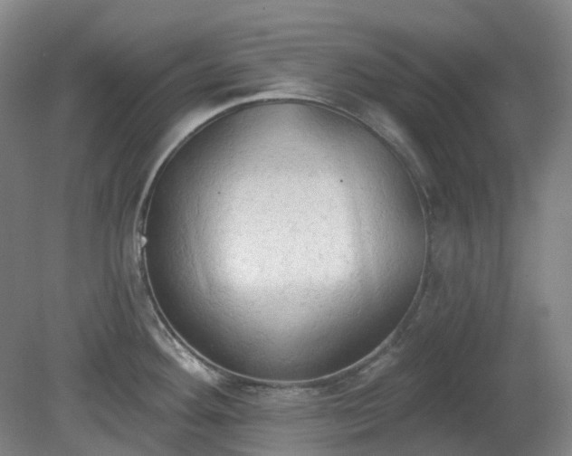 X0000081281292200701181733