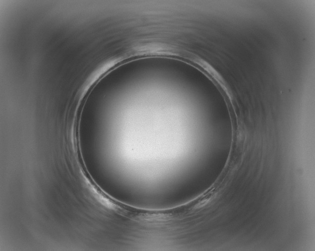 X0000081281293200701181733