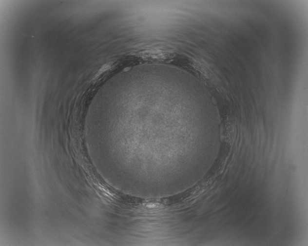 X0000081281297200701181732