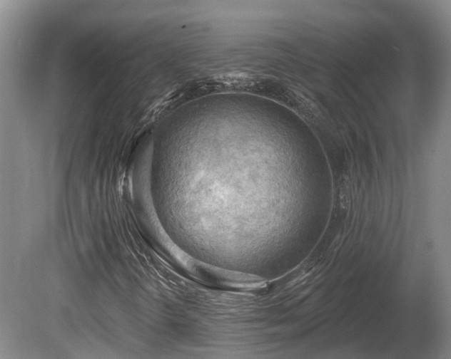 X0000081281298200701181732