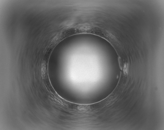 X0000081281299200701181732