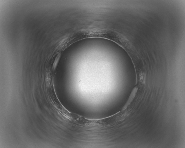 X0000081281300200701181732