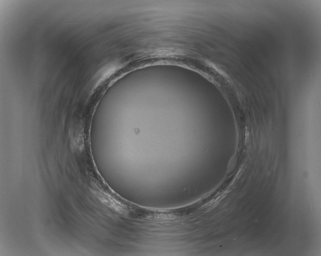 X0000081281306200701181732