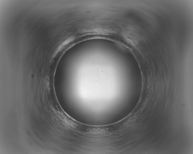 X0000081281307200701181732