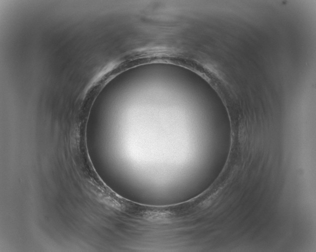 X0000081281309200701181732