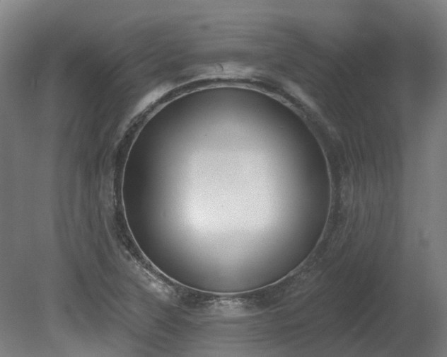 X0000081281315200701181732