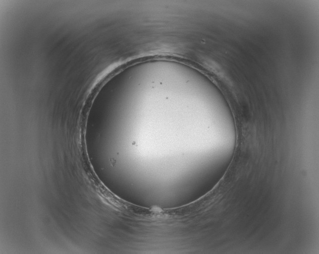 X0000081281316200701181732