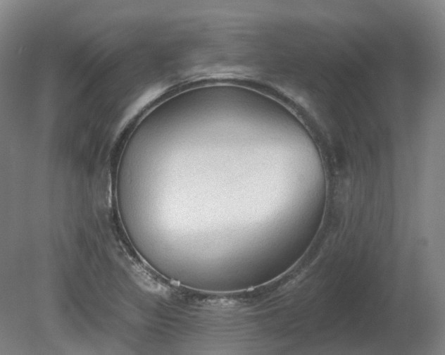 X0000081281317200701181733