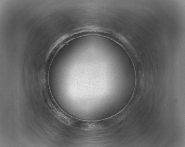 X0000081281318200701181733
