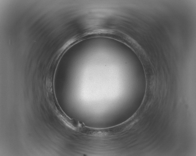 X0000081281321200701181733