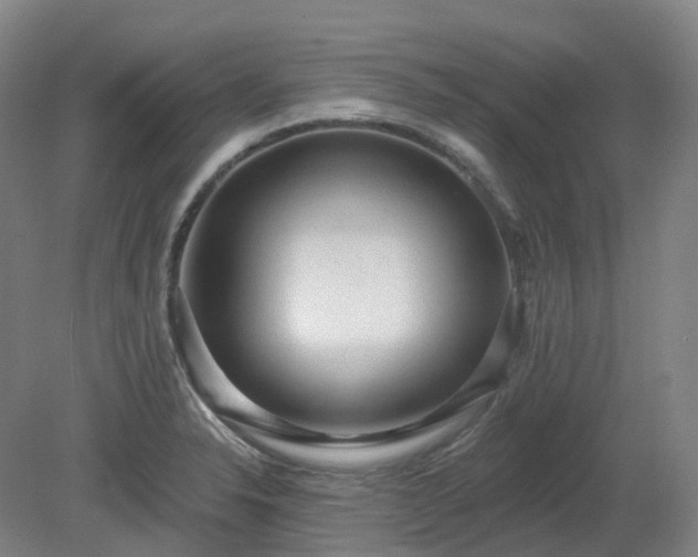 X0000081281326200701181733